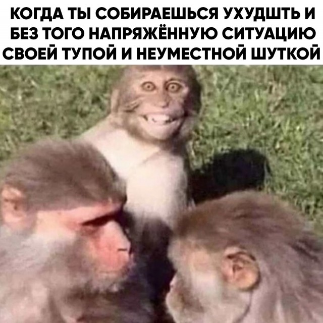 Весёлый полтишок 7.04