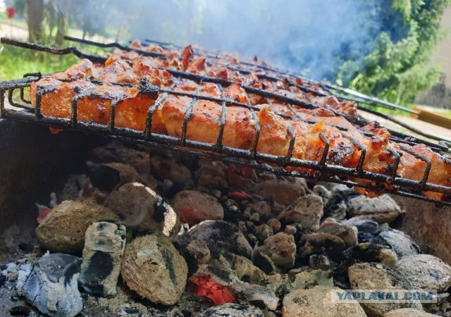 Шашлык, рецепты маринада, все про шашлык!