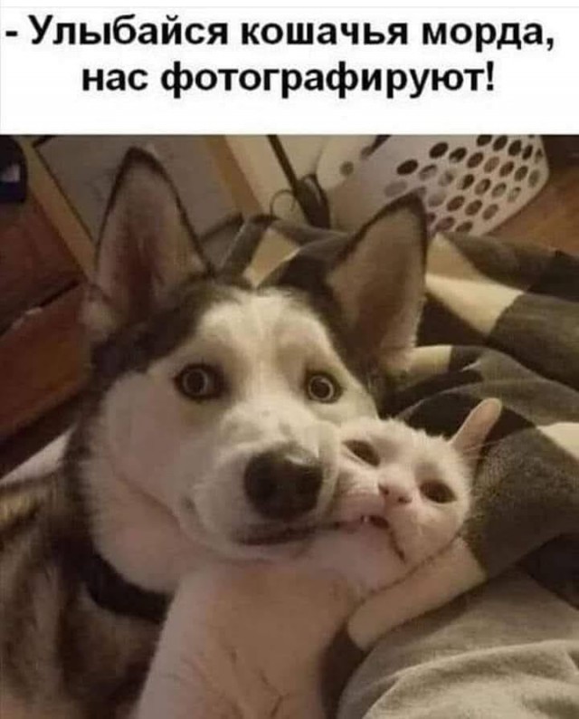 Картинки на среду 30.06.2021