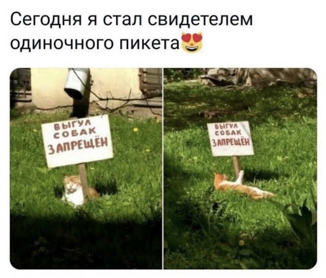 35 картинок разных 29.07.2021