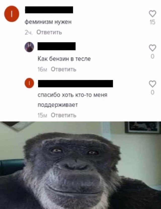 Так себе картинки 15.08.21