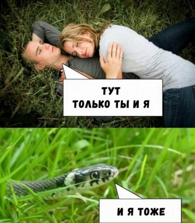 Картинки и мемы для настроения 26.08.2021