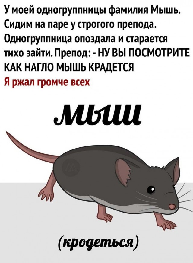 Всяческие картинки 08.12.2021