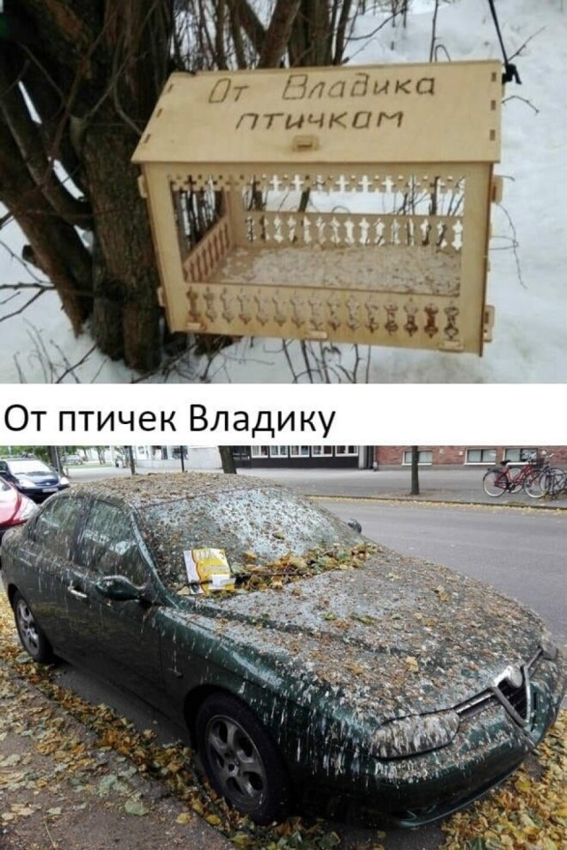 Кормушка