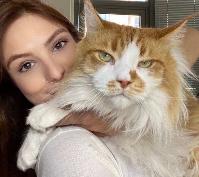 Девушки котовторника