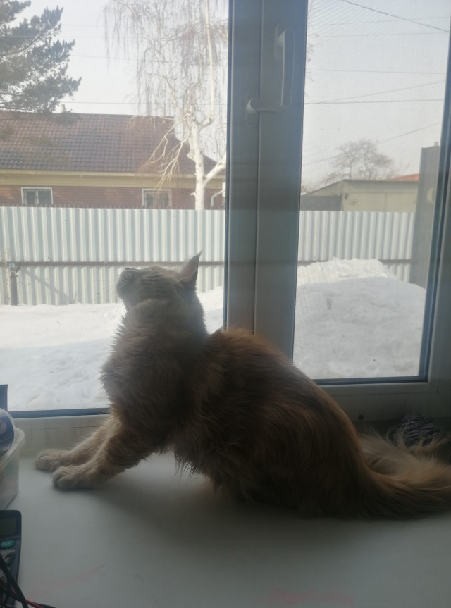 Котовторниковское
