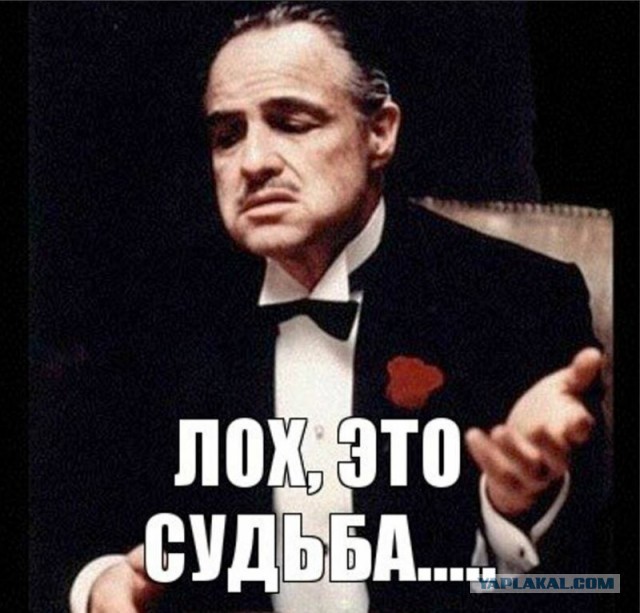 Про красивую и экономичную машину
