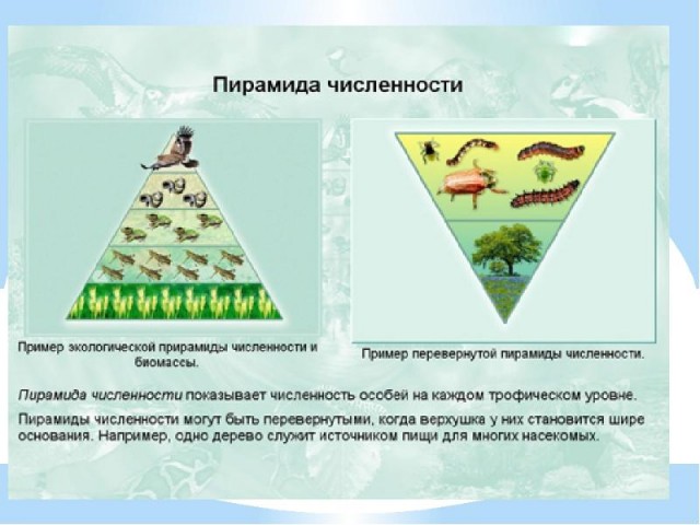 Пандемия. Коронавирус и съехавшие крыши. Россия и мир. Часть 32.
