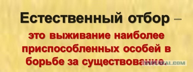 Иногда женщин тянет на правду