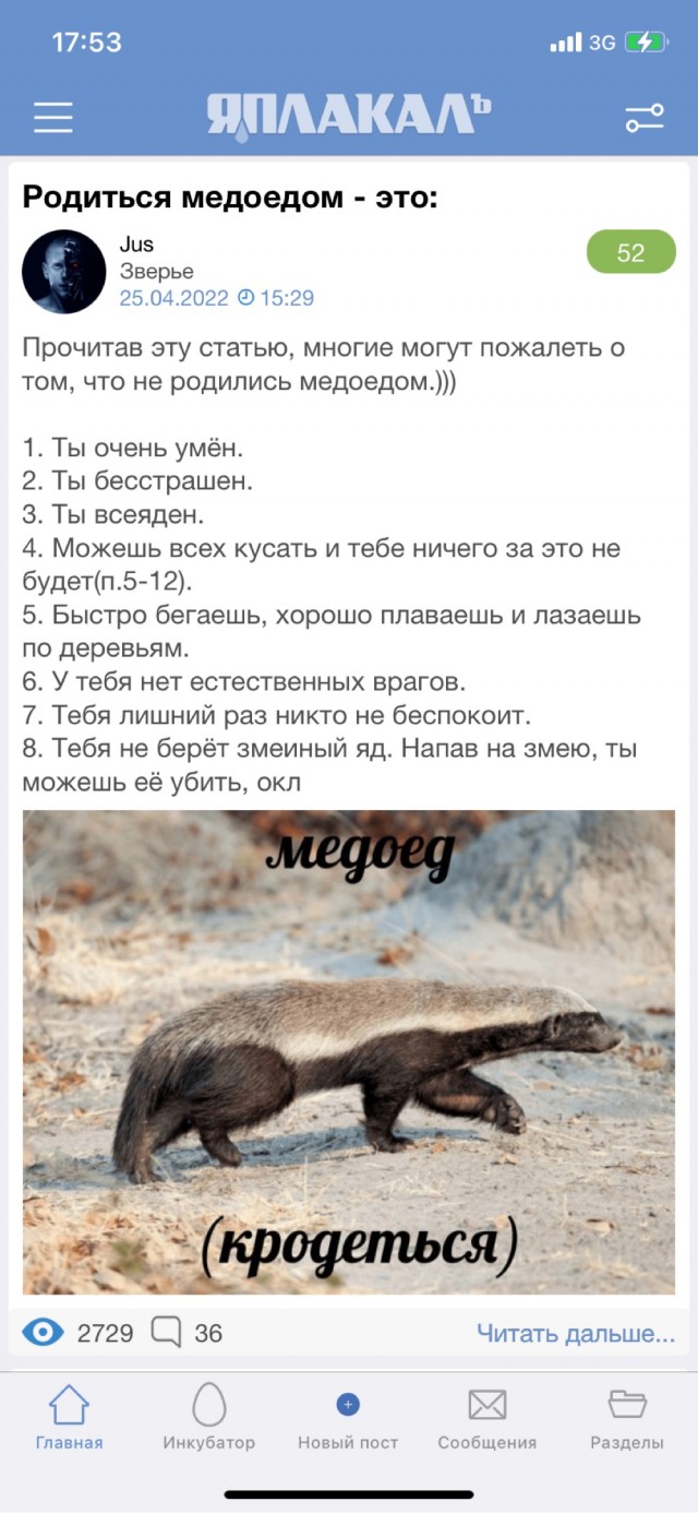 Родиться медоедом - это: