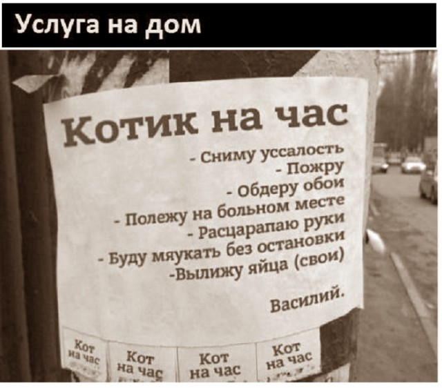 Картинки с надписями и всякие жизненные фразы