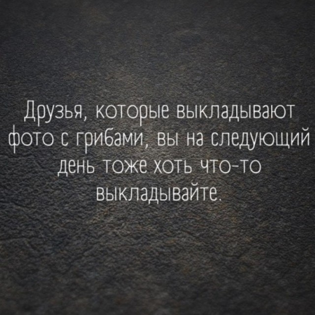 Привет или Пока!