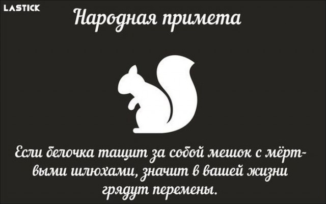 Аморалка Лайт