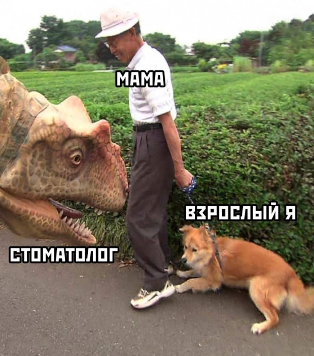 Юмор и приколы из социальных сетей