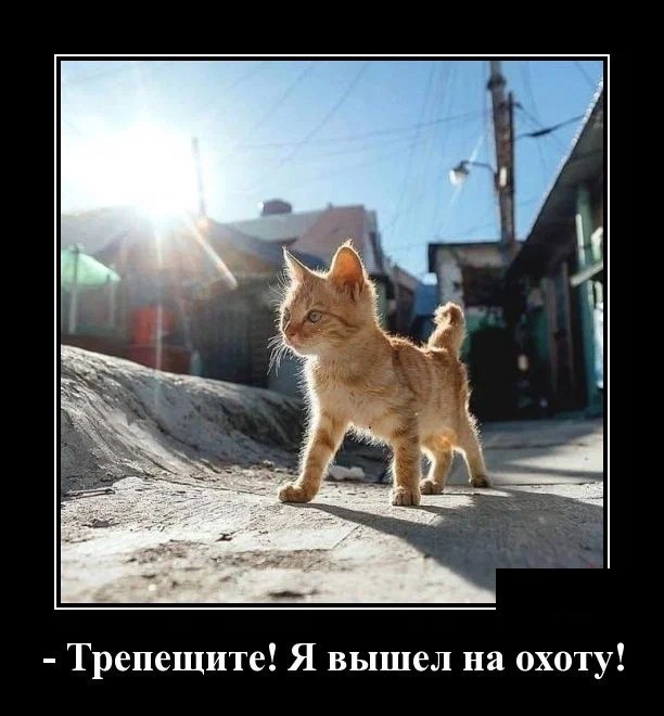 Картинки с надписями 10.07.22