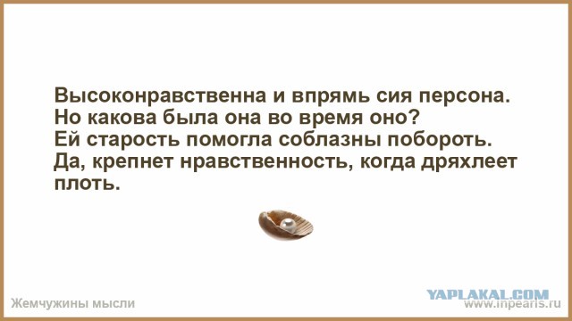 В Госдуме призывают не травить школьных учительниц за откровенные снимки в социальных сетях