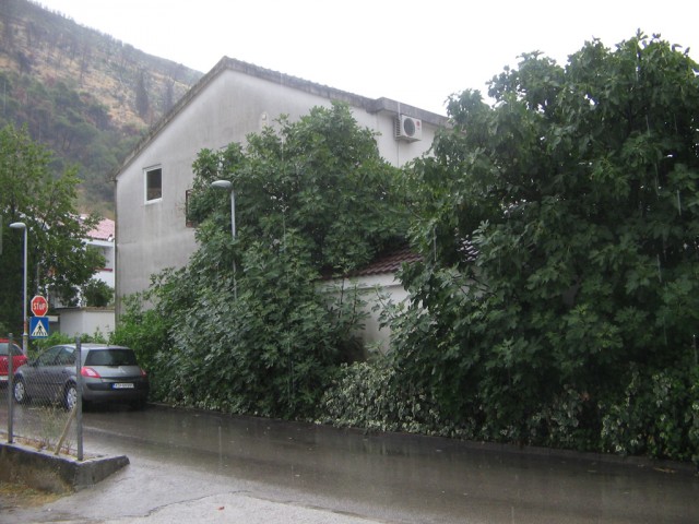 Отдых в Черногории (сентябрь 2012)