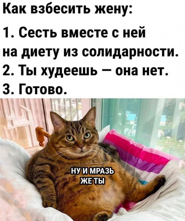 Немного картинок для настроения - 105