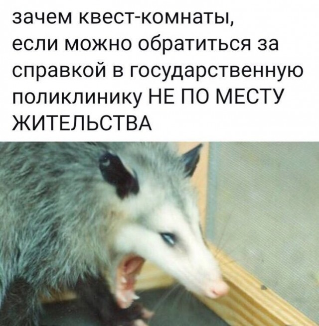 Воскресное похмелье баяном не испортишь
