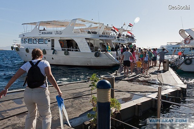 Синайские приключения. Шарм-эш-Шейх и окресности
