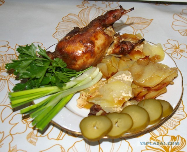 Кулинарная общалка