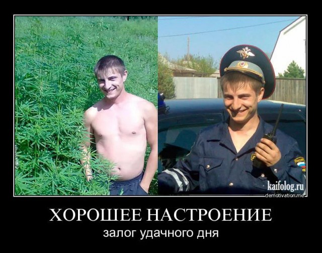 Прикольные и просто красивые картинки 17.02.2023