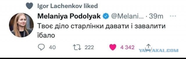 Отца Маши Москалёвой осудили, а Машу в детдом за рисунок