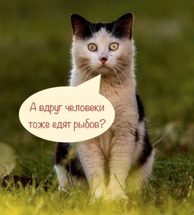 Так себе картинки 11.04.23