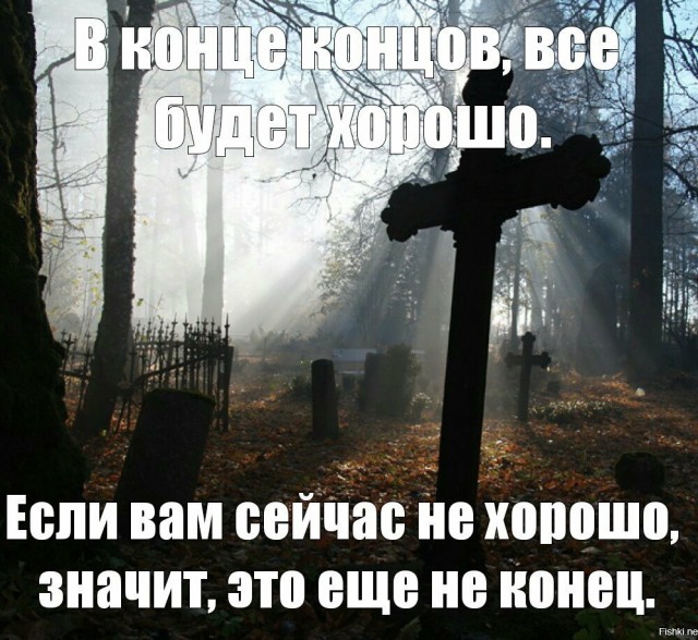 Картинок вам в серые трудовыебудни