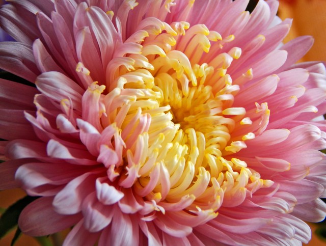 Природа Южного Урала