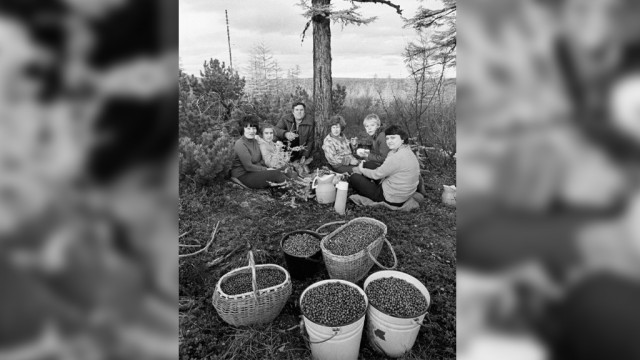 Шашлыки и пикники в СССР: 10 фото традиционных блюд и семейных посиделок на природе