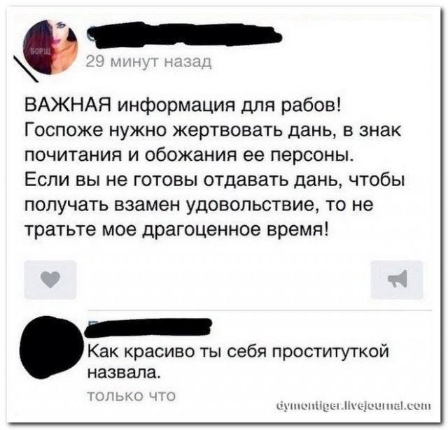 Забавные комментарии из социальных сетей (13.11.23)