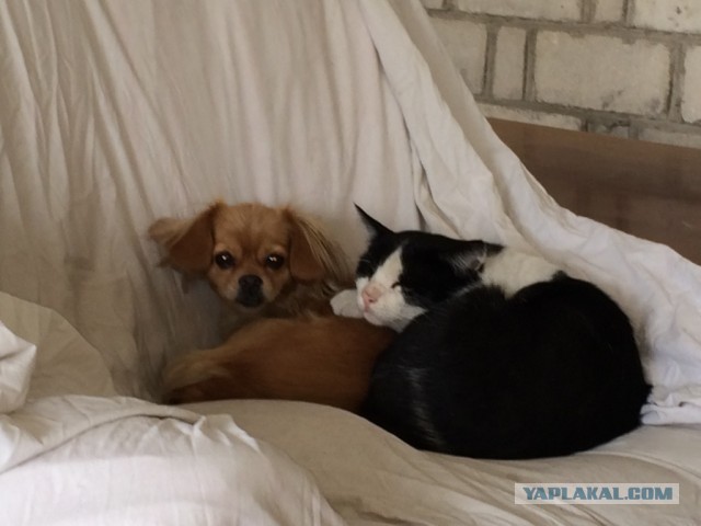 "Катись к х*ям" заиграло новыми красками