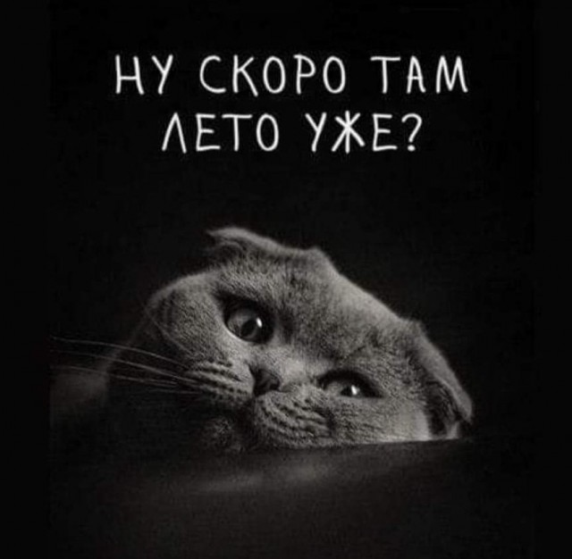 Маленькая пятница