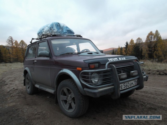Ламповая Нива!