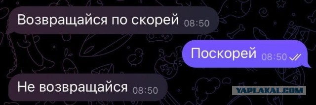 Весёлый полтишок 05.05.24