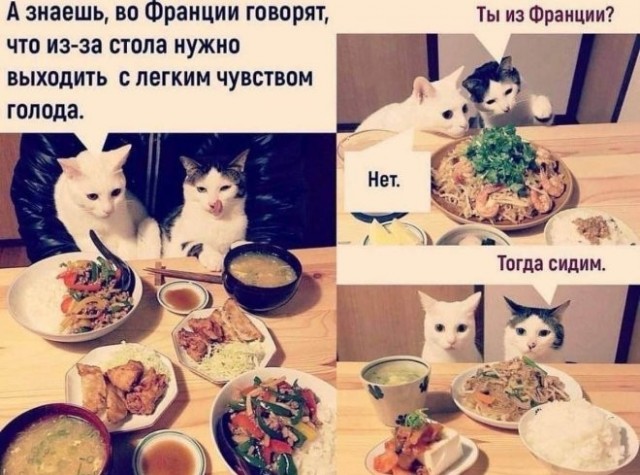 Завалялось тут случайно немного забавных картинок