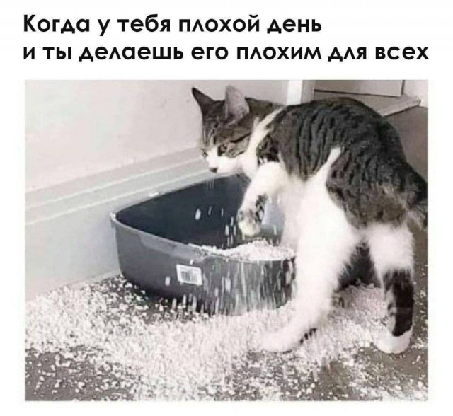 Завалялось тут случайно немного забавных картинок