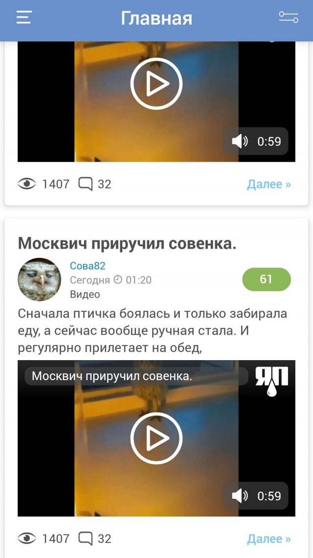 Москвич приручил совенка.