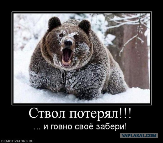 Мишка унюхал охотника