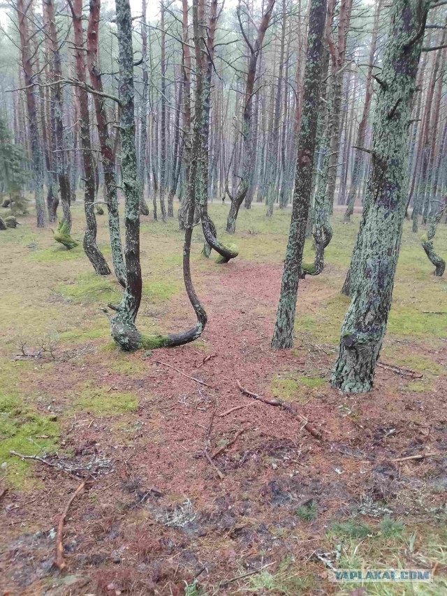 Калининград и область