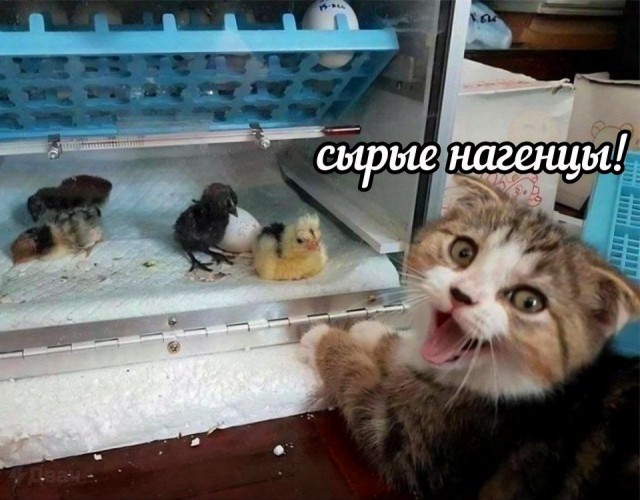 Завалялось тут случайно немного забавных картинок