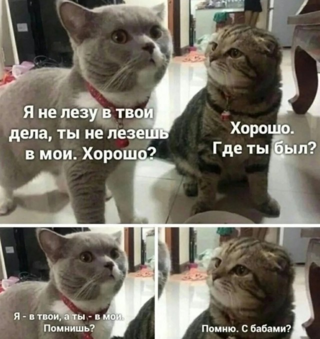 Завалялось тут случайно немного забавных картинок