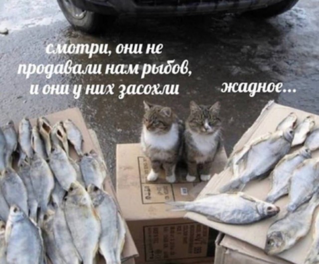 Утро баяном не испортишь