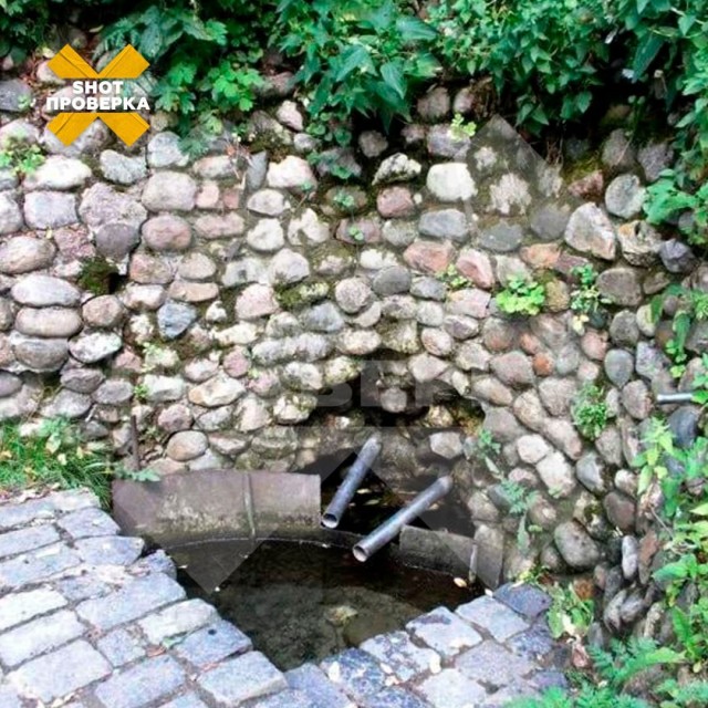 Москвич получил сильное отравление родниковой водой, где рядом обитали испанские слизни.