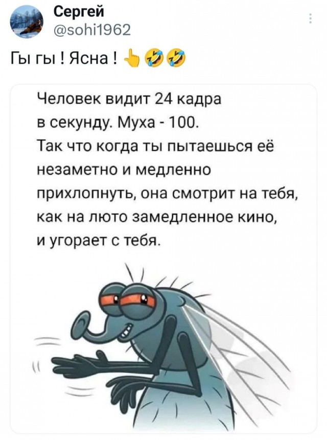 Муха