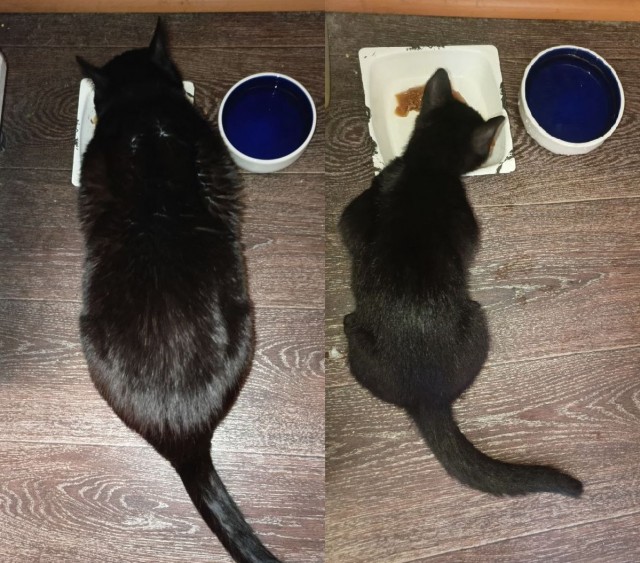 Его первый вторник