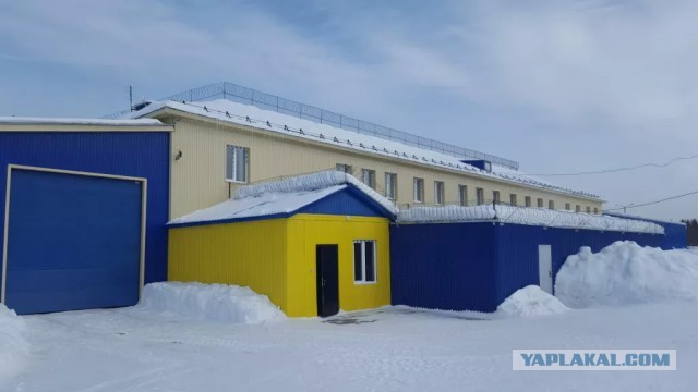 Зеленский заявил, что готов встретиться с Трампом и Путиным без условий