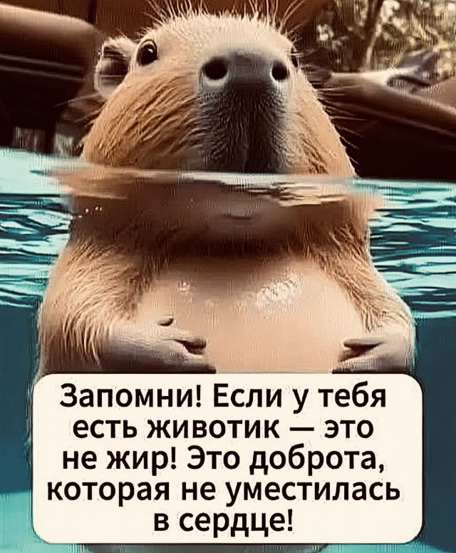 Прикольные и просто красивые картинки 17.10.2025