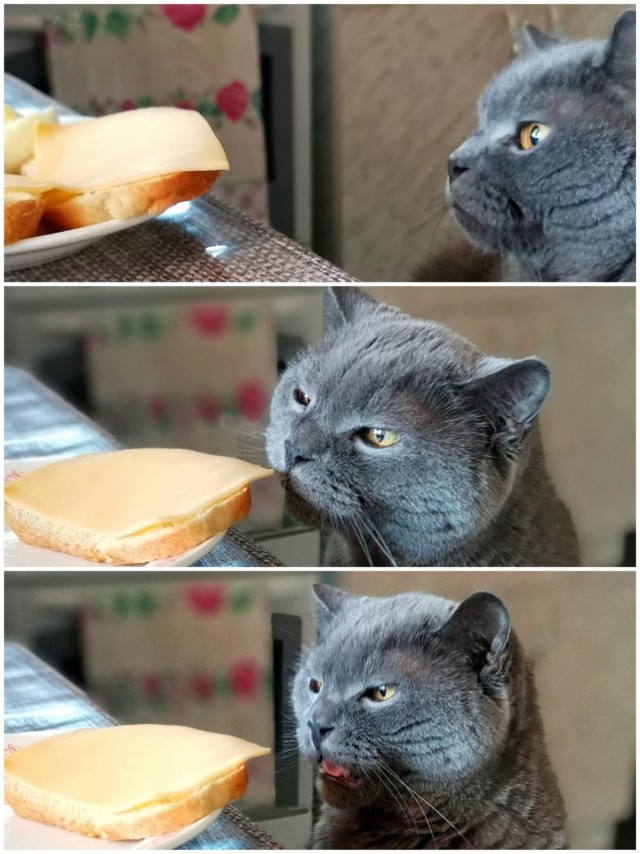 Может быть и мне дадут